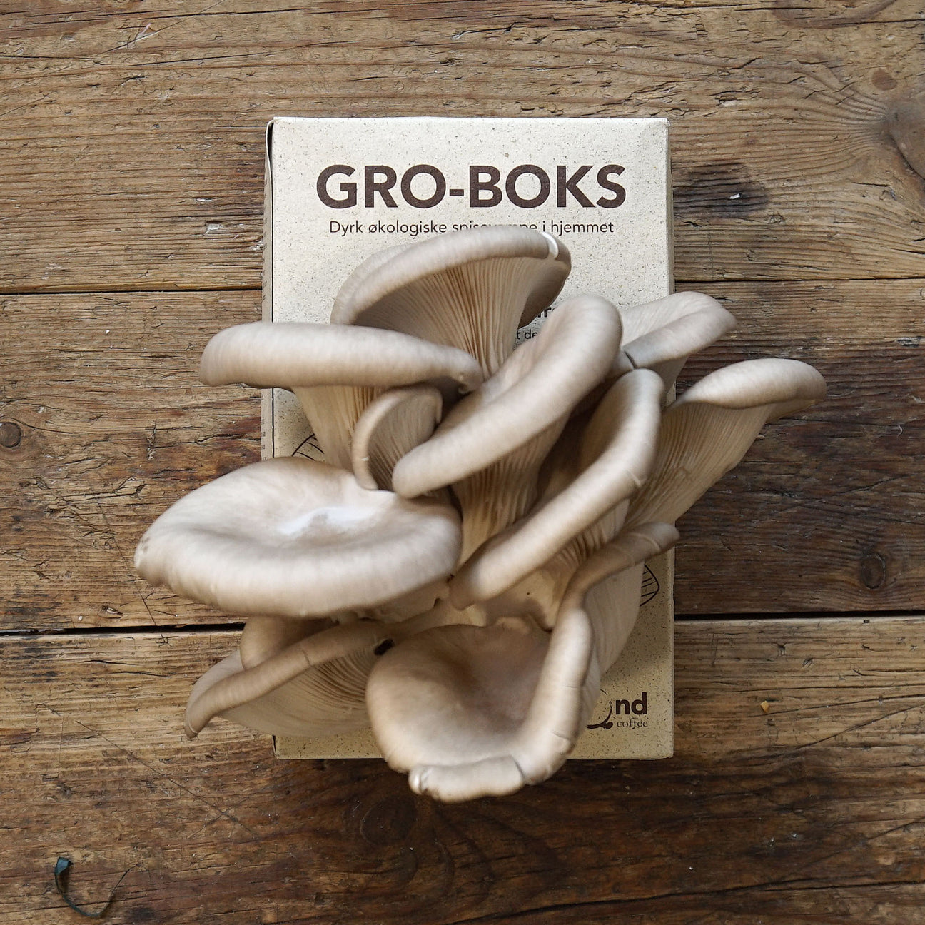 Gro-Boks